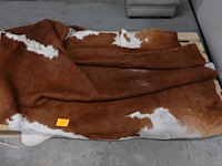 Koevel - afbeelding 1 van  2