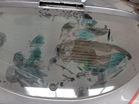 Koffer megane 3 - afbeelding 4 van  4