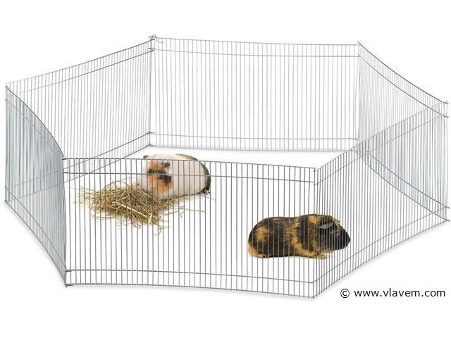 Konijnenren - afbeelding 1 van  7