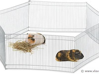 Konijnenren - afbeelding 1 van  7