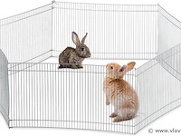 Konijnenren - afbeelding 2 van  7