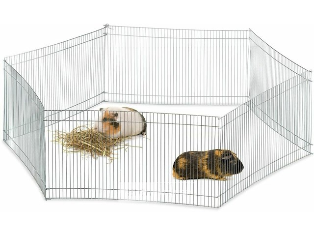 Konijnenren - afbeelding 1 van  7