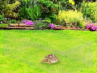 Konijnenren - afbeelding 3 van  7