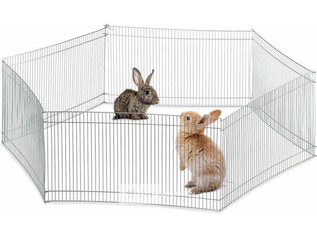 Konijnenren - afbeelding 5 van  7