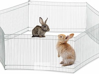 Konijnenren - afbeelding 5 van  7