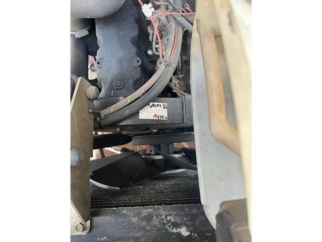 Kooimaaier roberine - afbeelding 10 van  11