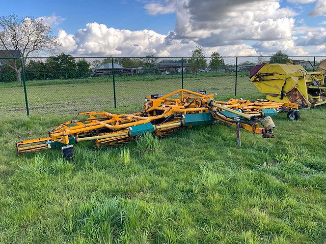 Kooimaaier - afbeelding 2 van  2
