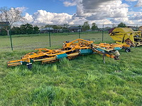 Kooimaaier - afbeelding 2 van  2