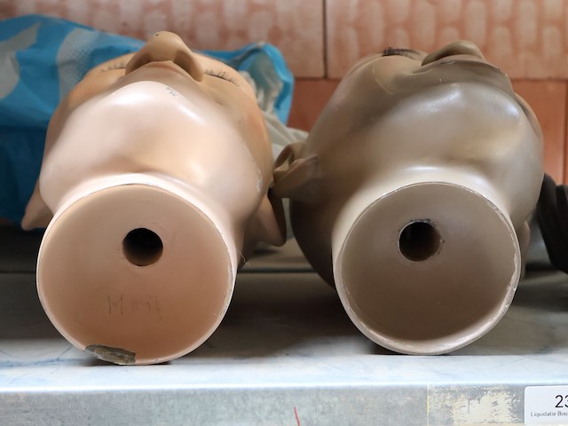 Kop paspop (x2) - afbeelding 5 van  5