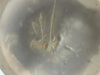 Koppel vazen bloemen keramiek - afbeelding 4 van  4