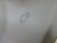 Koppel witte biscuit gemerkt - afbeelding 3 van  3