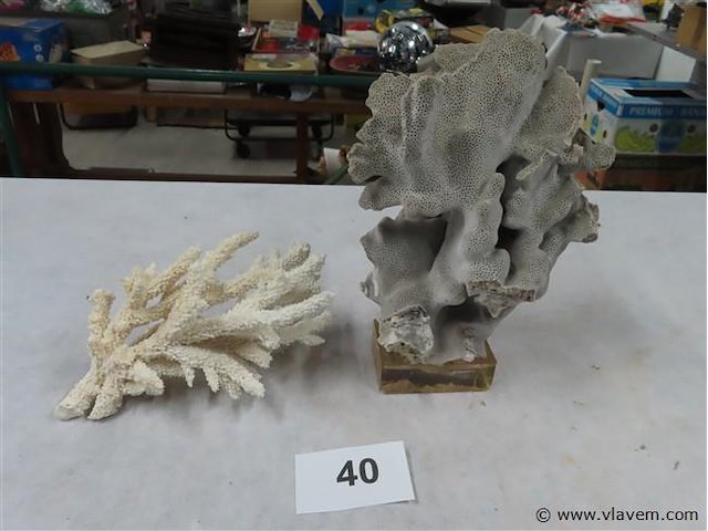 Koraal 2 stuks - afbeelding 1 van  3