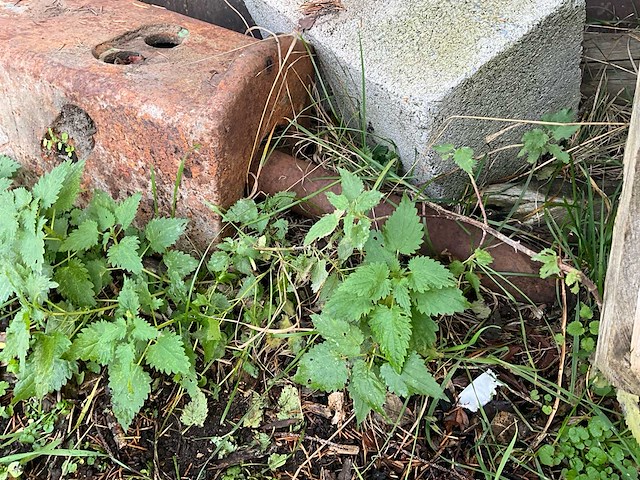 Kraanboor om te controleren - afbeelding 3 van  8