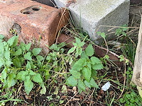 Kraanboor om te controleren - afbeelding 3 van  8