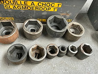 Krachtdop (10x) - afbeelding 6 van  6