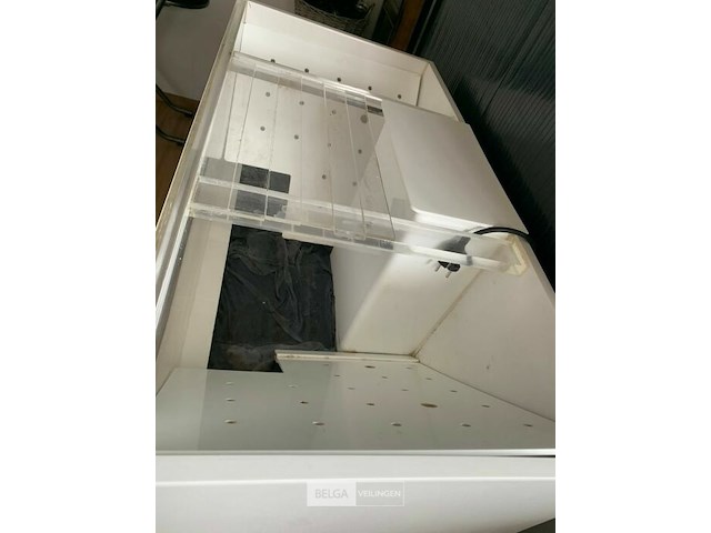 Kreeftenbak - afbeelding 2 van  3