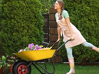 Kruiwagenwiel - afbeelding 2 van  3