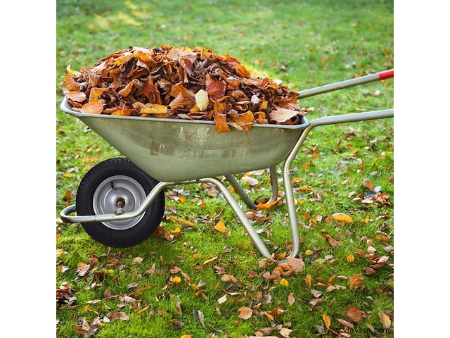 Kruiwagenwiel - afbeelding 4 van  5