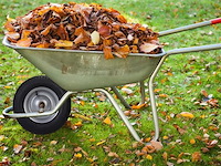 Kruiwagenwiel - afbeelding 4 van  5