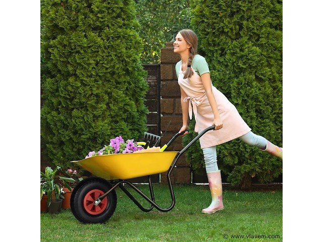 Kruiwagenwiel - afbeelding 2 van  3