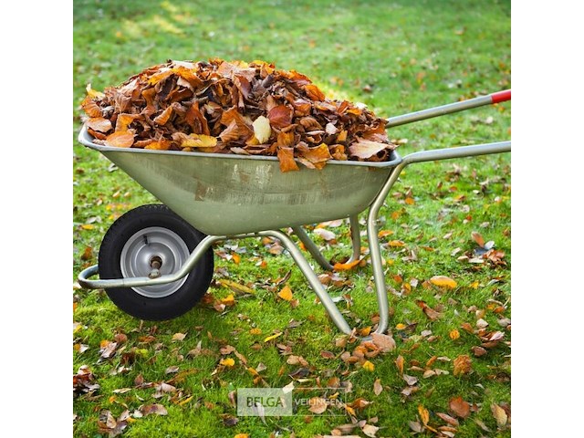 Kruiwagenwiel - afbeelding 3 van  6