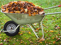 Kruiwagenwiel - afbeelding 3 van  6