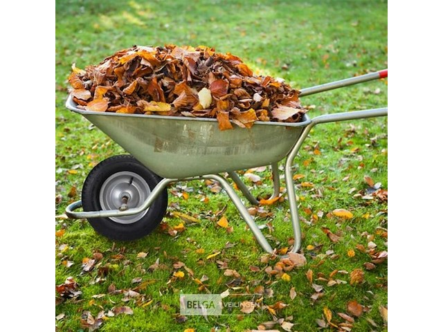 Kruiwagenwiel - afbeelding 4 van  5