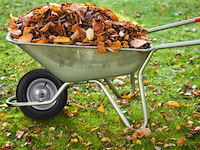 Kruiwagenwiel - afbeelding 4 van  5