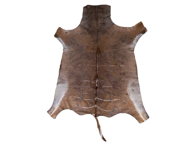 Kudu (tragelaphus) hide rug, 200 x 160 cm - afbeelding 1 van  2