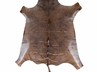 Kudu (tragelaphus) hide rug, 200 x 160 cm
