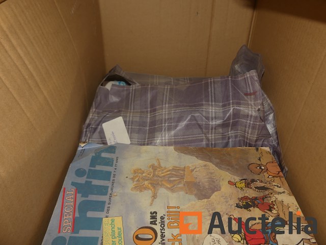 Kuifje strips - afbeelding 10 van  12