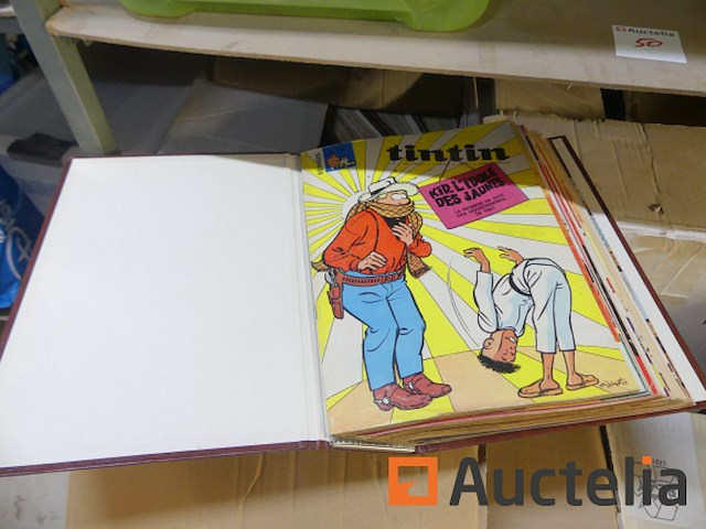 Kuifje strips - afbeelding 12 van  12