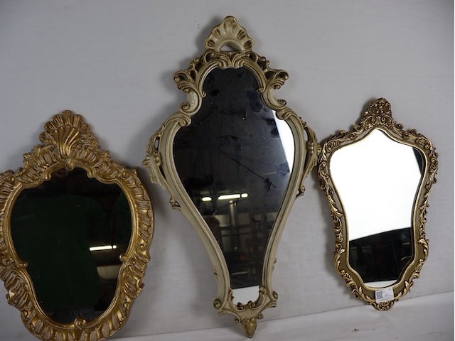 Kuifspiegel (x3) - afbeelding 4 van  7