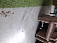 Kuismachine eureka 500 - afbeelding 2 van  10