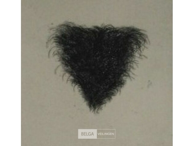 Kunst - gent / heusden-zolder