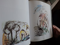 Kunstboek joel derore - afbeelding 2 van  3