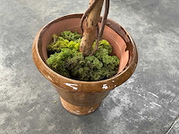 Kunstbomen in pot (3x) - afbeelding 4 van  13