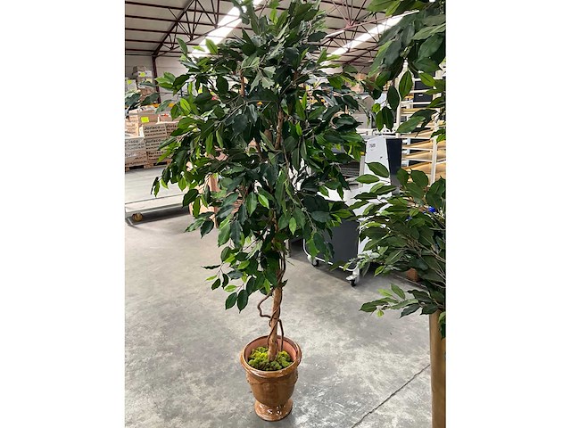 Kunstbomen in pot (3x) - afbeelding 8 van  13