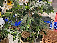 Kunstbomen in pot (3x) - afbeelding 12 van  13