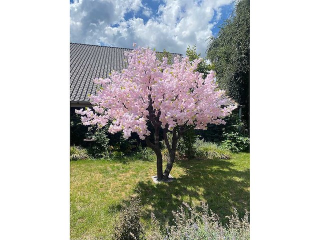 Kunstboom - kamerplant - afbeelding 1 van  4