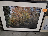 Kunstfoto in kader - afbeelding 1 van  2