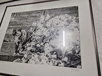 Kunstfoto's, merendeel zwart-wit, in kader - afbeelding 4 van  18