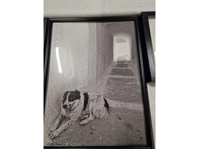 Kunstfoto's, merendeel zwart-wit, in kader - afbeelding 13 van  18