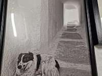 Kunstfoto's, merendeel zwart-wit, in kader - afbeelding 13 van  18