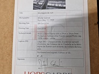 Kunstfoto's "montagne de bueren" - luik - afbeelding 7 van  24