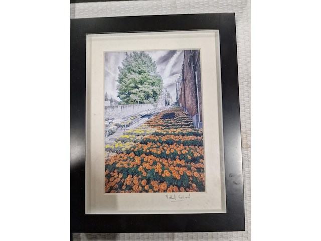 Kunstfoto's "montagne de bueren" - luik - afbeelding 9 van  24