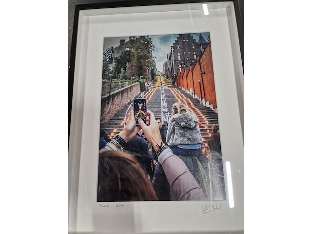 Kunstfoto's "montagne de bueren" - luik - afbeelding 17 van  24