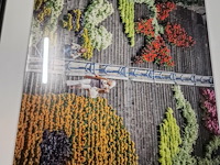 Kunstfoto's "montagne de bueren" - luik - afbeelding 18 van  24