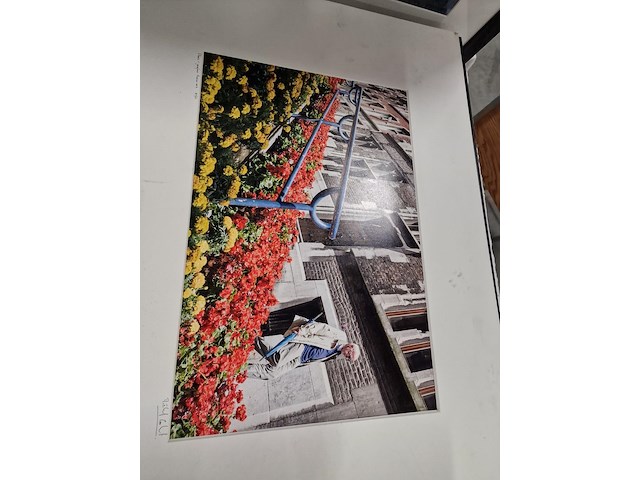 Kunstfoto's "montagne de bueren" - luik - afbeelding 21 van  24