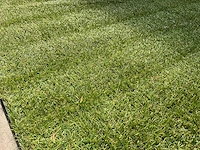 Kunstgras - afbeelding 2 van  4